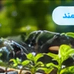 نقش داده‌های مکانی در کشاورزی دقیق