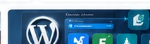 Case wordpress